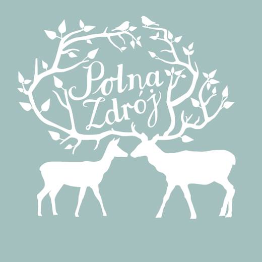 Logo Polna Zdrój Domki