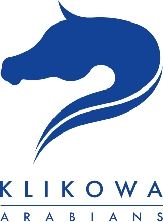 Logo Klikowa Arabians - Sala Balowa