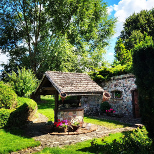 Domy Konesera – miniatura 4