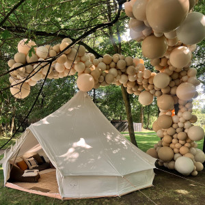 Pałac Żółwin – miniatura 7