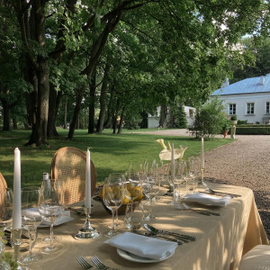 Pałac Żółwin – miniatura 3