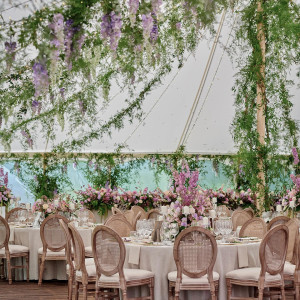 Pałac Żółwin – miniatura 4