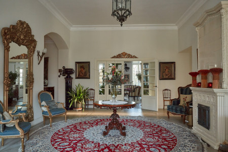 Pałac Żółwin – miniatura 15