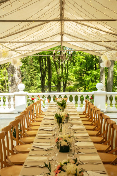 Pałac Żółwin – miniatura 8