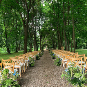 Pałac Żółwin – miniatura 10