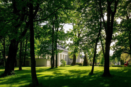 Pałac Żółwin – miniatura 11