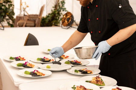 Pałac Żółwin – miniatura 18