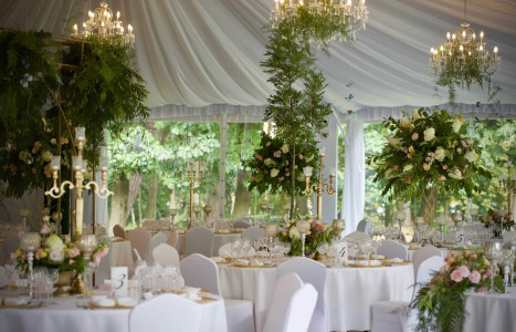 Pałac Rozalin – miniatura 12