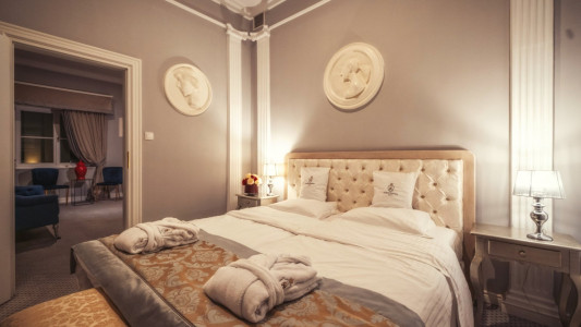 Hotel Pałac Alexandrinum – miniatura 5