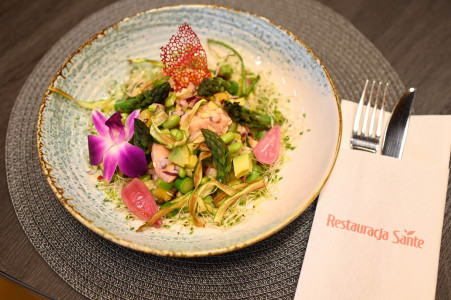 Hotel Sante – miniatura 10