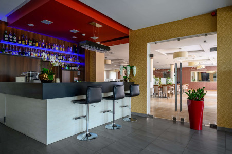 Hotel Austeria Conference & Spa – miniatura 4