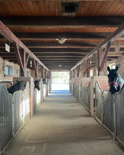 Końska Dolina – miniatura 22