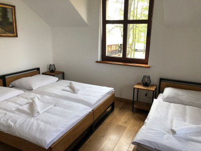 Dwór Gogolewo – miniatura 21