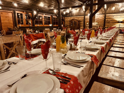 Dwór Gogolewo – miniatura 13