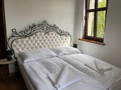 Dwór Gogolewo – miniatura 24