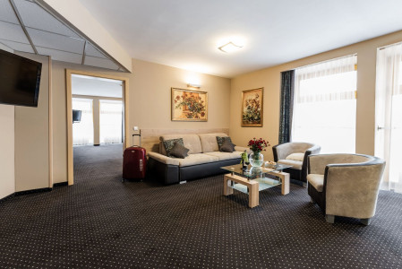 Hotel WILGA *** – miniatura 14