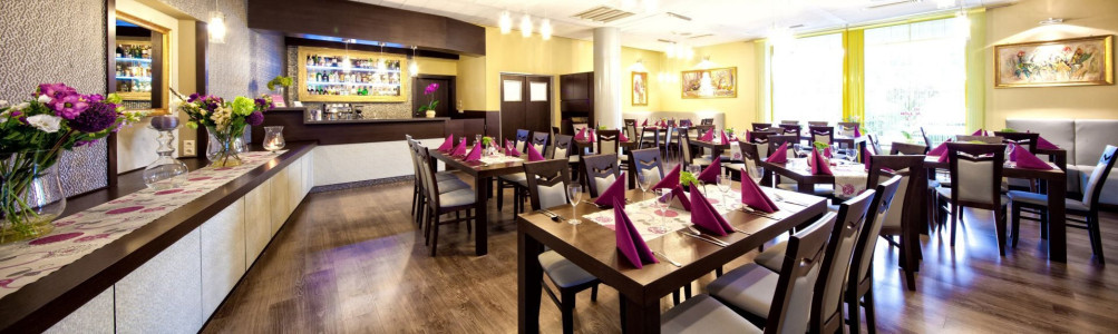 Hotel WILGA *** – miniatura 11