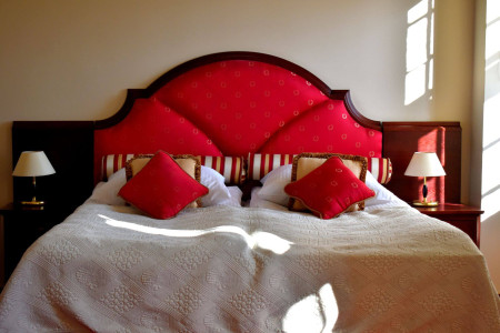 Zamek Królewski w Rydzynie – miniatura 15