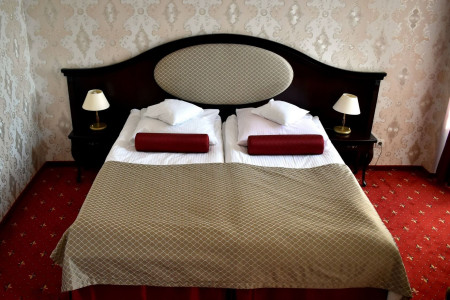 Zamek Królewski w Rydzynie – miniatura 16