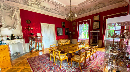 Zamek Królewski w Rydzynie – miniatura 6