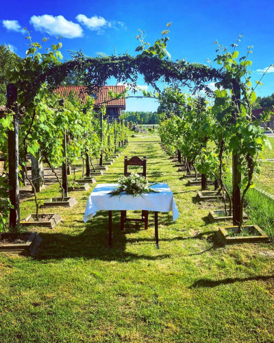 Dwór Sulejów – miniatura 14