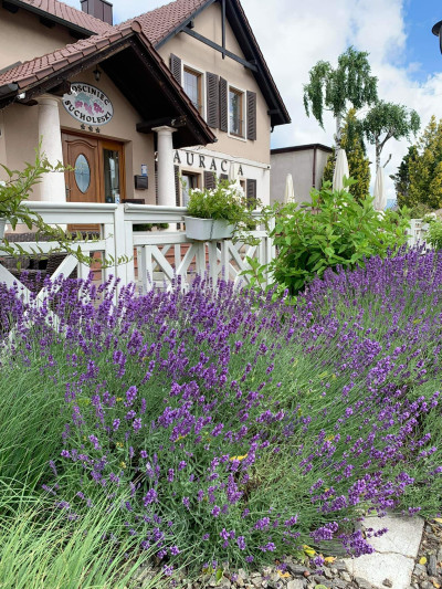 Restauracja Gościniec Sucholeski – miniatura 16