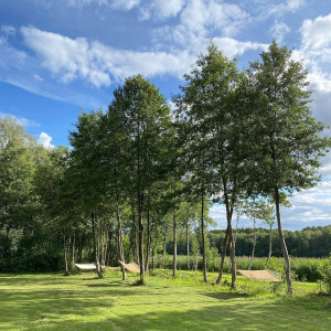 Weranda Home – miniatura 26