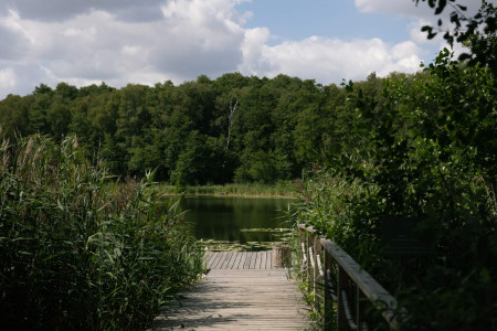 Weranda Home – miniatura 24