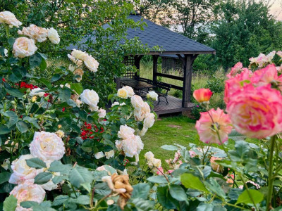 Villa Greta – miniatura 31