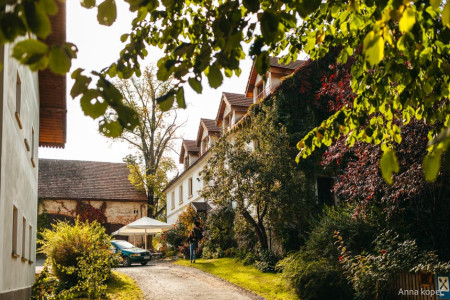 Villa Greta – miniatura 29