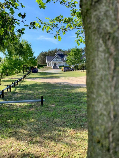 Trzy Drzewa – miniatura 20