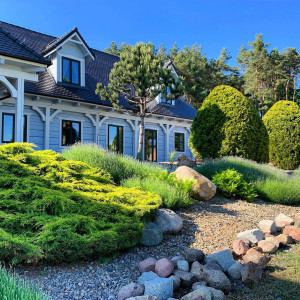 Trzy Drzewa – miniatura 3