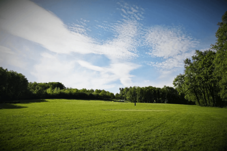 Folwark Zalesie – miniatura 12