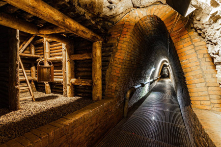 Muzeum Górnictwa Węglowego w Zabrzu – miniatura 18