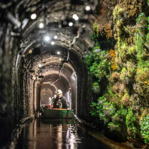 Muzeum Górnictwa Węglowego w Zabrzu – miniatura 20