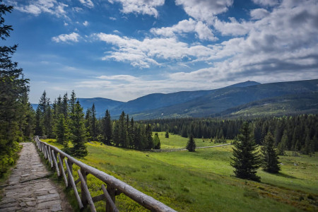 HainGlamp – miniatura 16