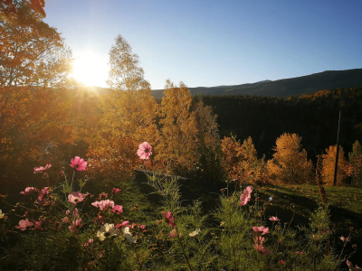 HainGlamp – miniatura 15