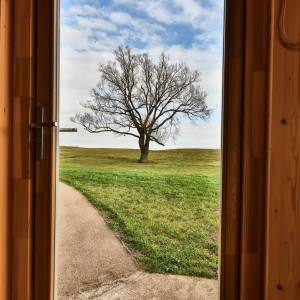 Dolina Jurt – miniatura 13