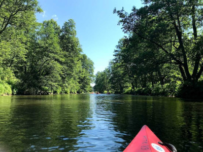 Kotowo 5 - Agroturystyka – miniatura 20