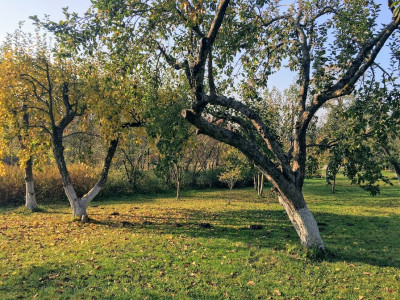 Kotowo 5 - Agroturystyka – miniatura 23