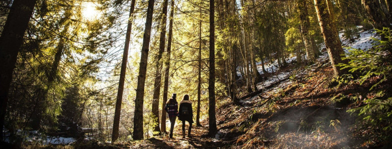 Termy Karkonosze Resort & Spa ***** – miniatura 23