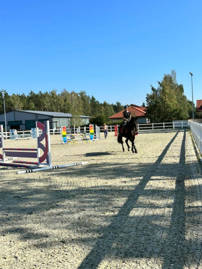 Harmony Park - Restauracja | Pensjonat | Stajnia – miniatura 11