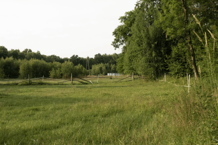 Harmony Park - Restauracja | Pensjonat | Stajnia – miniatura 14