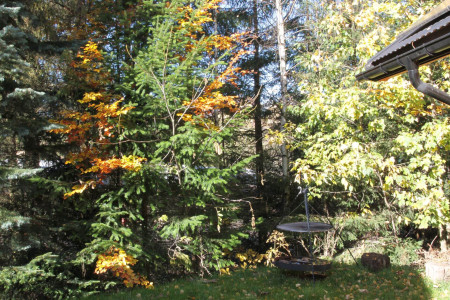 Gościniec Skorusa – miniatura 17