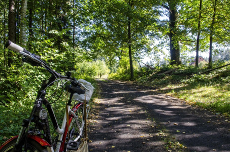 Glendoria – miniatura 21