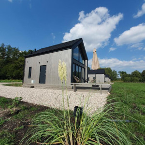 Bujanie w Sitowiu – miniatura 19