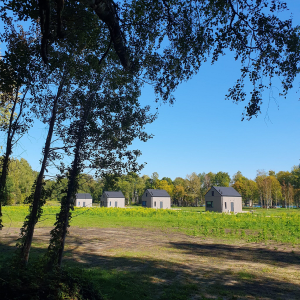 Bujanie w Sitowiu – miniatura 21