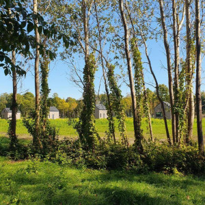 Bujanie w Sitowiu – miniatura 2