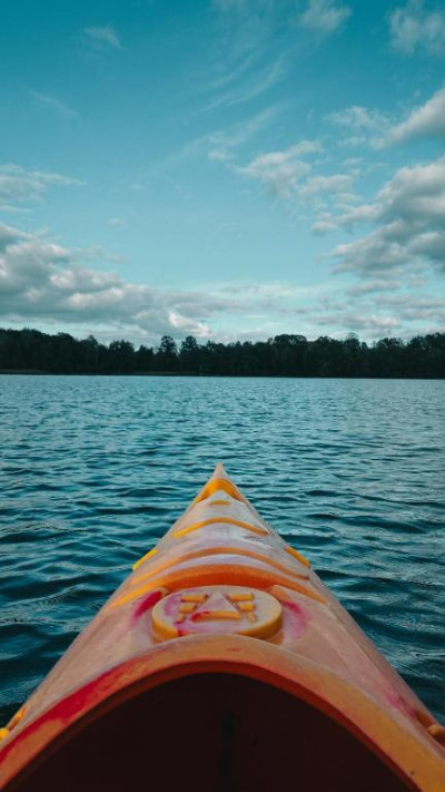 Bujanie w Sitowiu – miniatura 22