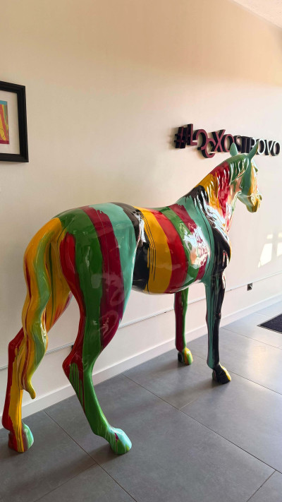 Loox Ostrovo – miniatura 25